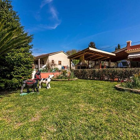 Antonela Sunshine Apartment By Corfu Escapes Perama  Eksteriør bilde